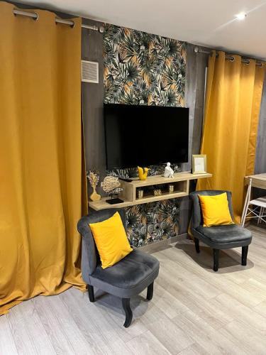 un salon avec deux chaises et une télévision dans l'établissement Elite studio 14, à Paris