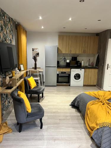 Il comprend une cuisine et un salon avec un lit et une cuisine équipée d'un réfrigérateur. dans l'établissement Elite studio 14, à Paris