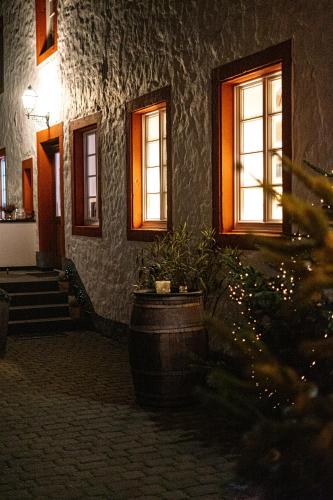 a building with windows and potted plants in front of it at Gasthaus zum alten Brauhaus in Euskirchen