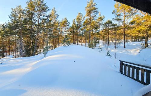 a snow covered path in a forest with trees at Cozy Home In Bø I Telemark in Lona