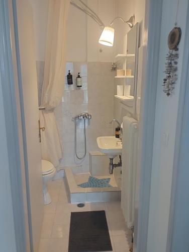 a bathroom with a sink and a shower and a toilet at ILEKTRA Apartments Blue & Red in Plataria
