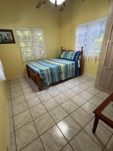 a bedroom with a bed and two windows at Cotton Heights Guest House in Nevis