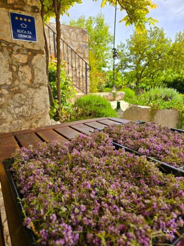 a bunch of purple flowers in a garden at Stone House Rosuja in Ivanje