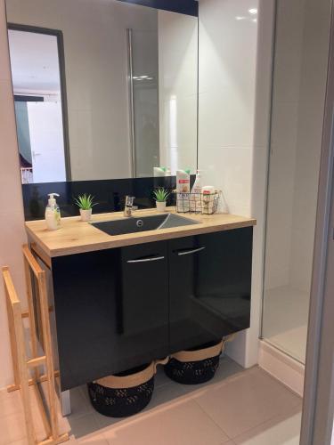 une salle de bain avec un lavabo et un miroir dans l'établissement Rez-de-chaussée de villa 45m2, piscine, climatisation, parking, à Aix-en-Provence