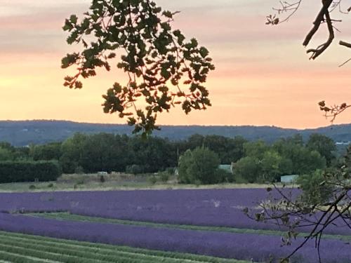 Domaine des lauves