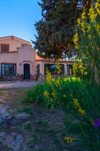 Сад в Los Arcabuceros Casa Hotel Boutique