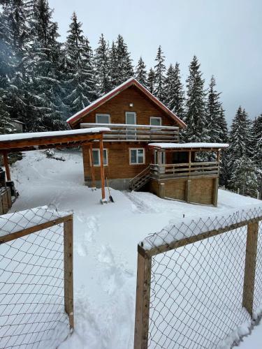 a house in the snow with a fence in front of it at Cabana dintre brazi in Muntele Băişorii