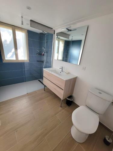 une salle de bain avec toilettes, lavabo et miroir dans l'établissement Villa Lou Pantaï la tranquillité à 2 pas de la mer, à Saint-Aygulf