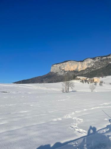 a snow covered field with a mountain in the background at Gîte Edelweiss Saint-Martin-en-Vercors in Les Barnoux