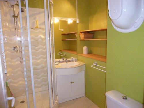 a bathroom with a shower and a sink at Studio cosy 4/5 pers, skis aux pieds, Arette - FR-1-602-19 in Arette