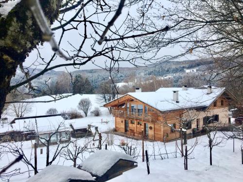 Το B&B Profumi nel bosco τον χειμώνα