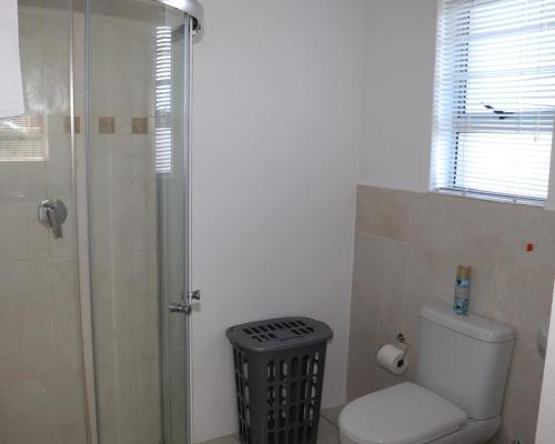 a bathroom with a shower and a toilet and a trash can at Tygerviews on Uys in Tygerberg Hills