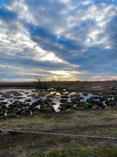 a field with a fence in a field with water at Altiora in Subotica