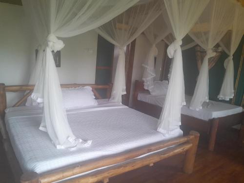 two beds with drapes on them in a bedroom at Entale Safari Camp Queen Elizabeth National Park in Kasese