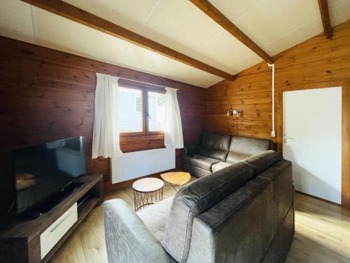 a living room with a couch and a flat screen tv at Holiday Home De Brenkberg-1 by Interhome in Schinveld