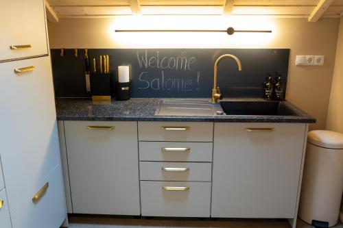 a kitchen with a sink and a counter top at Homemade Apartment in Liebshausen