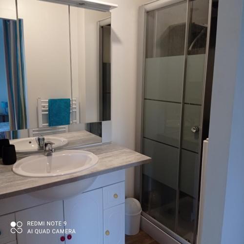 une salle de bain avec un lavabo et une douche en verre dans l'établissement Le petit nid aux bords de vienne, à Limoges