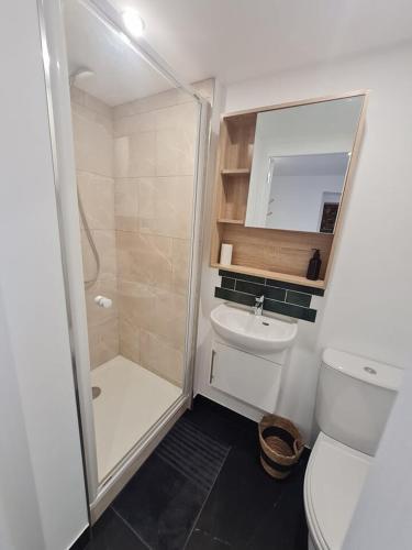 une salle de bain avec une douche, des toilettes et un lavabo dans l'établissement Charmant studio rénové, à Caen