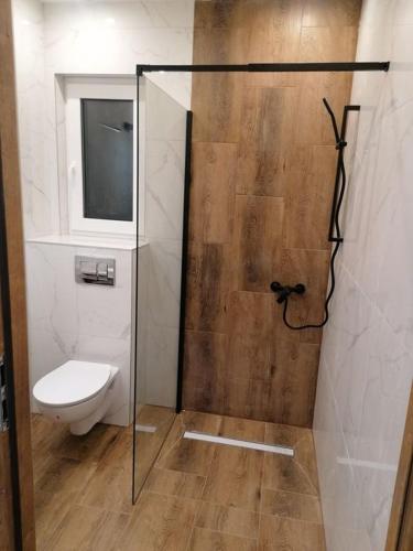 a bathroom with a toilet and a glass shower at Domek Góry Sowie in Nowa Ruda