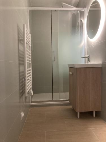 une salle de bain avec une douche, un lavabo et un miroir dans l'établissement Le face mer vue imprenable, à Merlimont