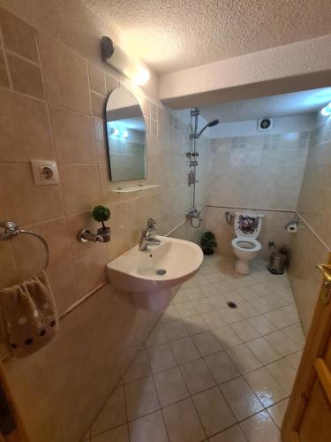 a bathroom with a sink and a toilet at Мальовица - къща за гости in Dospey Makhla
