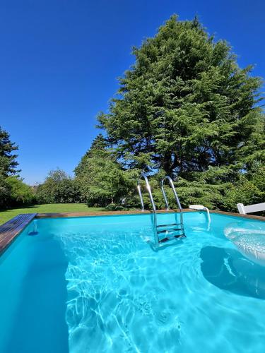 - une piscine avec une chaise en face d'un arbre dans l'établissement Villa avec piscine proche Disneyland et Paris, à Saint-Thibault-des-Vignes