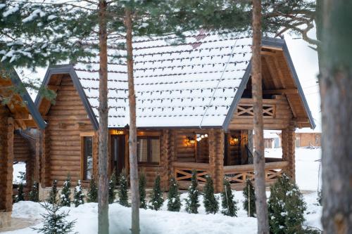 a log cabin in the woods in the snow at Aurum Cabins in Zlatibor