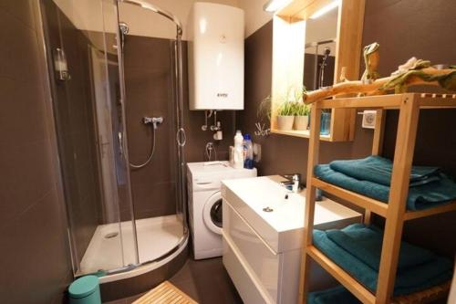 a bathroom with a shower and a toilet and a sink at Stylish New City Appartement in Graz