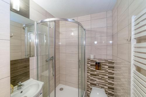 a bathroom with a shower and a toilet and a sink at Dom wczasowy Anna Maria in Sierockie