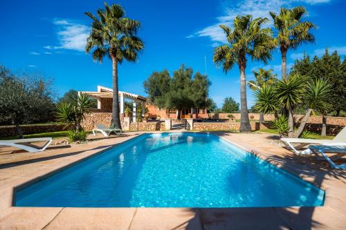 a swimming pool with palm trees and a house at Finca Linda in Campos