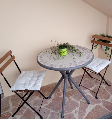 une table en verre avec une plante dessus à côté de deux chaises dans l'établissement Chez Mietka, à Vélizy-Villacoublay