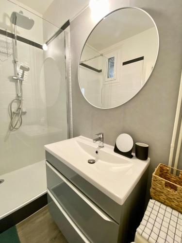 une salle de bain avec un lavabo et un miroir dans l'établissement Dijon Centre ville Gare Parc Darcy, à Dijon