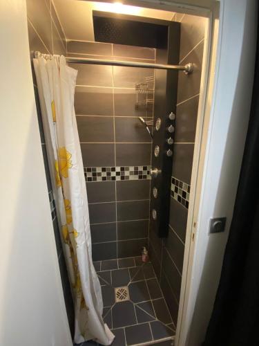 une salle de bain avec une douche avec un rideau de douche dans l'établissement Studio à 10 minutes de la Tour Eiffel, à Paris