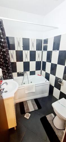 a bathroom with a sink and a tub and a toilet at Pensiunea Red Rose Apartments in Timişoara