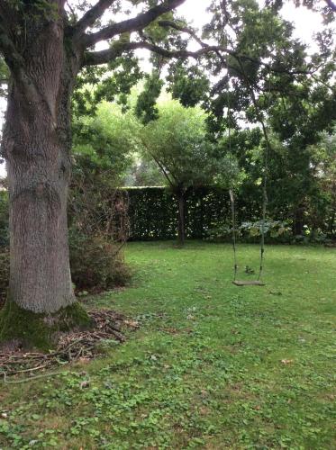 a swing hanging from a tree in a yard at Entire first floor, kitchen, bathroom, roofterrace, 1 bedroom if 1 to 3 or 2 bedrooms if 4 to 5 guests in Buggenhout
