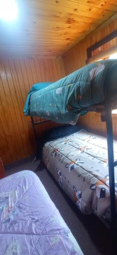 Gallery image of Habitación en el bosque in Estación Purey
