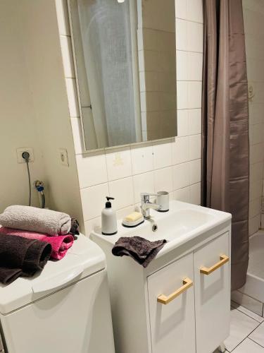une salle de bain blanche avec un lavabo et une douche dans l'établissement Départ tardif appartement T2 avec 1 chambre centre Orléans, à Orléans