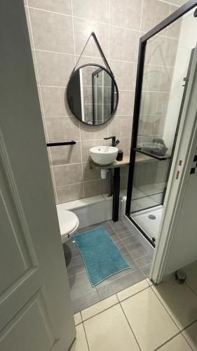 une salle de bain avec un lavabo et un miroir et des toilettes dans l'établissement La Régence Ch 3, à Brette-les-Pins