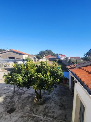 Landskap semula jadi dekat dengan vila ini