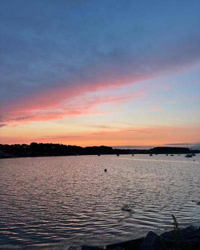a sunset on a lake with ducks in the water at Limone Guest - Appartement Cosy - 5 min des plages in Larmor-Plage