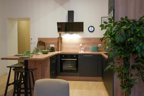 - une cuisine avec un comptoir et une cuisinière four supérieur dans l'établissement Dijon Hypercentre - Loge Des Ducs, à Dijon