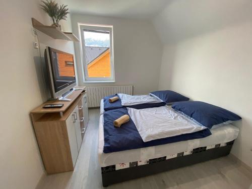 a bedroom with a bed and a television and a window at Lomnica Lodge in Vysoké Tatry