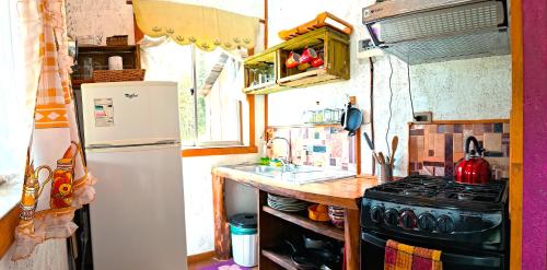 a kitchen with a white refrigerator and a stove at Refugio de Montaña Kultrun Mawida, Cabaña Mirador WIFI in Curacautín