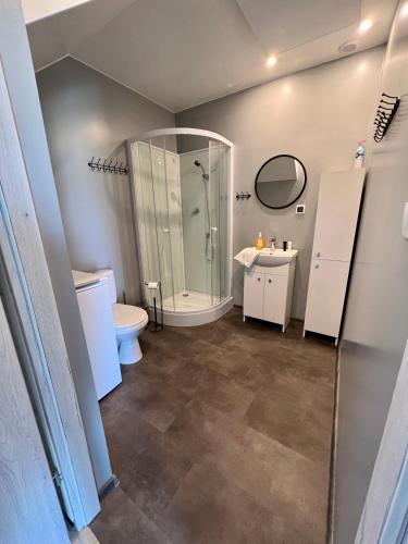 a bathroom with a shower and a toilet and a sink at Sielsko-Anielsko Kobyla Góra VI in Ligota