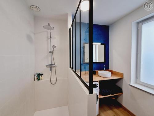 Bilik mandi di Gîte indépendant avec jardin privé, Wi-Fi et climatisation à proximité de Lille - FR-1-510-230