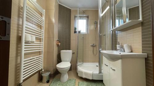 Koupelna v ubytování Casa Nicoladis