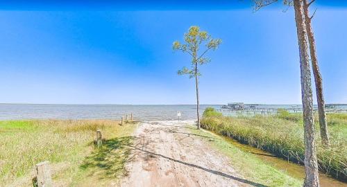 a dirt road next to the ocean with two palm trees at Sleeps 32, Arcade & Game Room, Pool, Golf Cart to Beach in Orange Beach