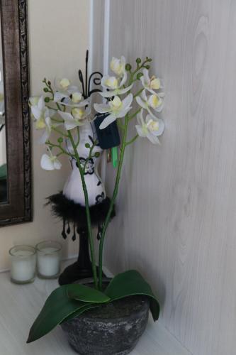 a black and white vase with white flowers in it at Tygerviews on Uys in Tygerberg Hills