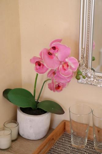 a pink flower in a vase on a table at Tygerviews on Uys in Tygerberg Hills