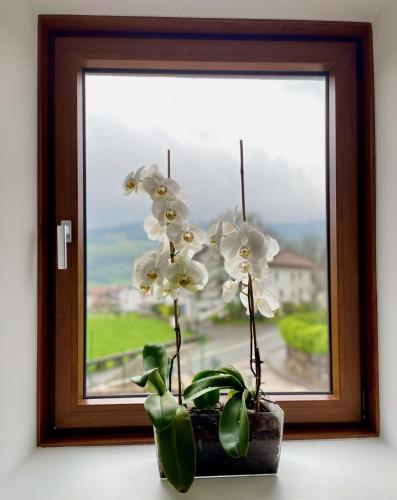 a vase with white flowers in front of a window at Matxiku Aurre in Berástegui